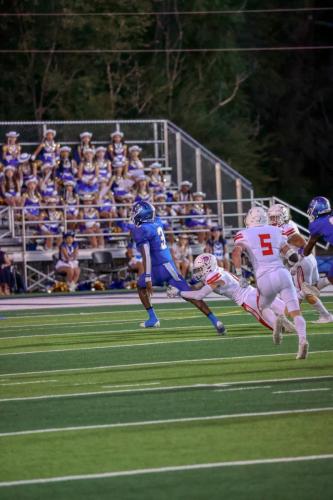 JMB15875-DeNoiseAI-raw 46