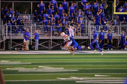 JMB15937-DeNoiseAI-raw 91