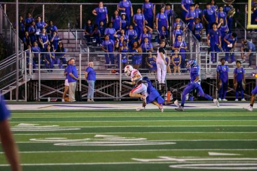 JMB15938-DeNoiseAI-raw 92