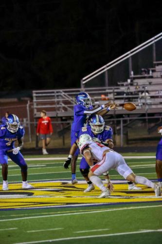 JMB16134-DeNoiseAI-raw 229