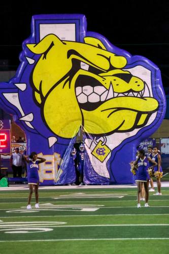 JMB16344-DeNoiseAI-raw 351