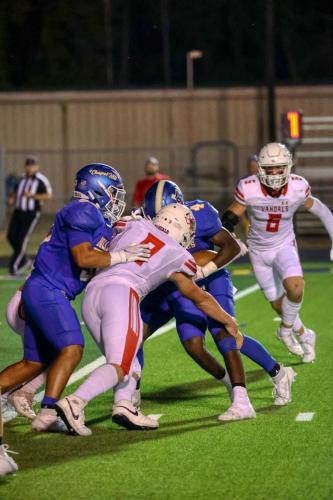 JMB16506-DeNoiseAI-raw 474