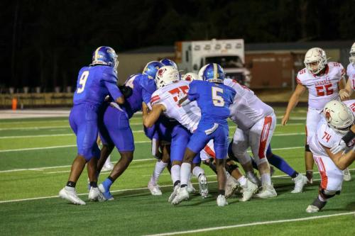 JMB16538-DeNoiseAI-raw 496