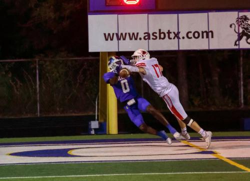 JMB16662-DeNoiseAI-raw 596