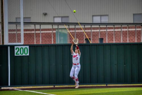 JMB17870-DeNoiseAI-severe-noise 244-Copy